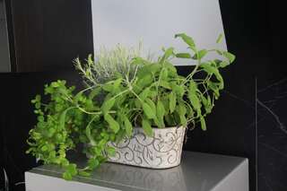 Апартаменты Black&White Apartment Краков Апартаменты с 1 спальней-15