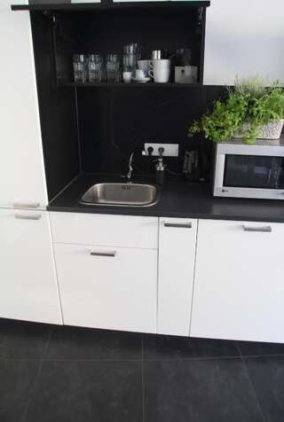 Апартаменты Black&White Apartment Краков Апартаменты с 1 спальней-28