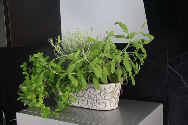 Апартаменты Black&White Apartment Краков-17